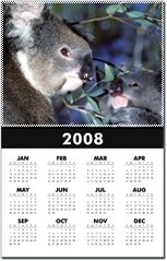 2008 Monthly Wall Calendar - Koala Bears