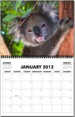 2012 Monthly Wall Calendar - Koala Bears