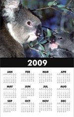 Koala Bear Calendar Mother and Joey