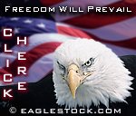Patriot Eagle Screen Saver