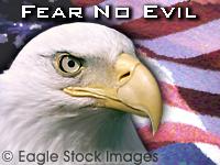 Fear No Evil - bald eagle head, closeup and very clear.  Its one of several pictures in the patriotic bald eagle screen saver.  One of my favorite patriotic pictures.