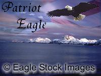 Patriotic Bald Eagle Picture - patriot eagle