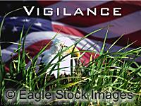 Vigilance - American Eagle peering through grass with flag background. Moving picture.